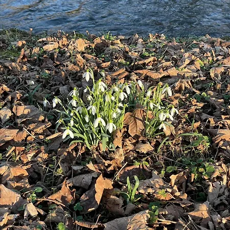 Kleines Von 1870 Nyaraló Ruppichteroth