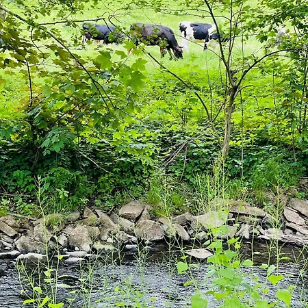 Kleines Von 1870 Nyaraló Ruppichteroth