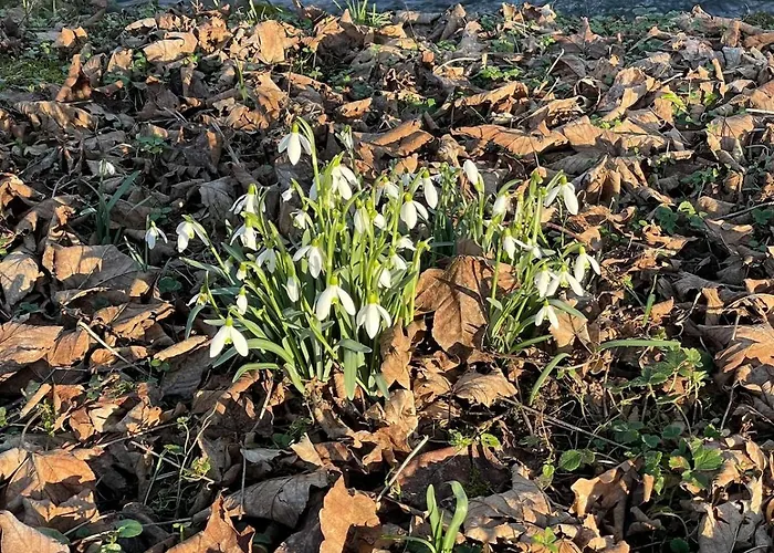 Kleines Von 1870 펜션 Ruppichteroth