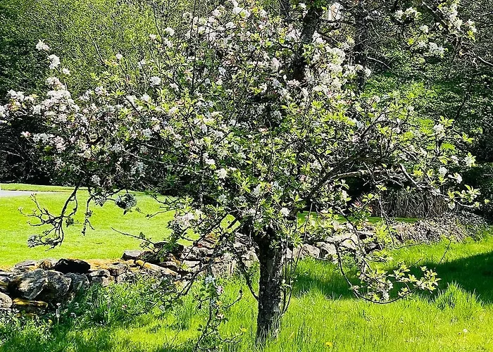 Kleines Von 1870 * Ruppichteroth