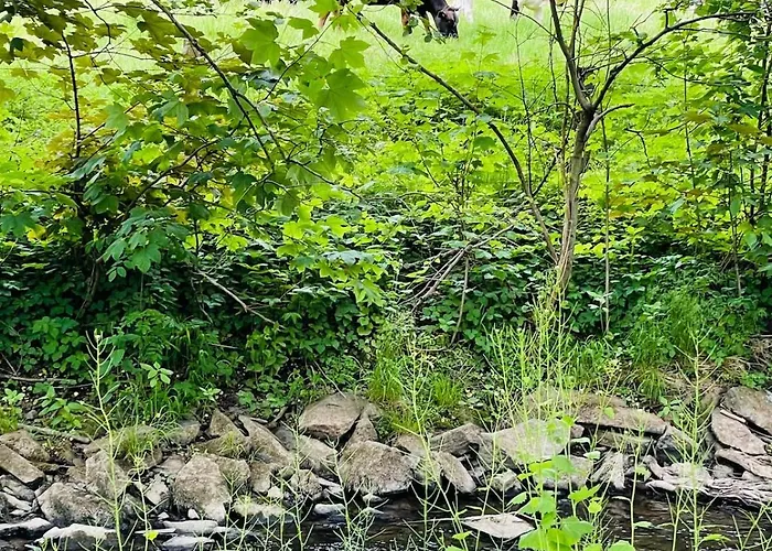 Kleines Von 1870 펜션 Ruppichteroth